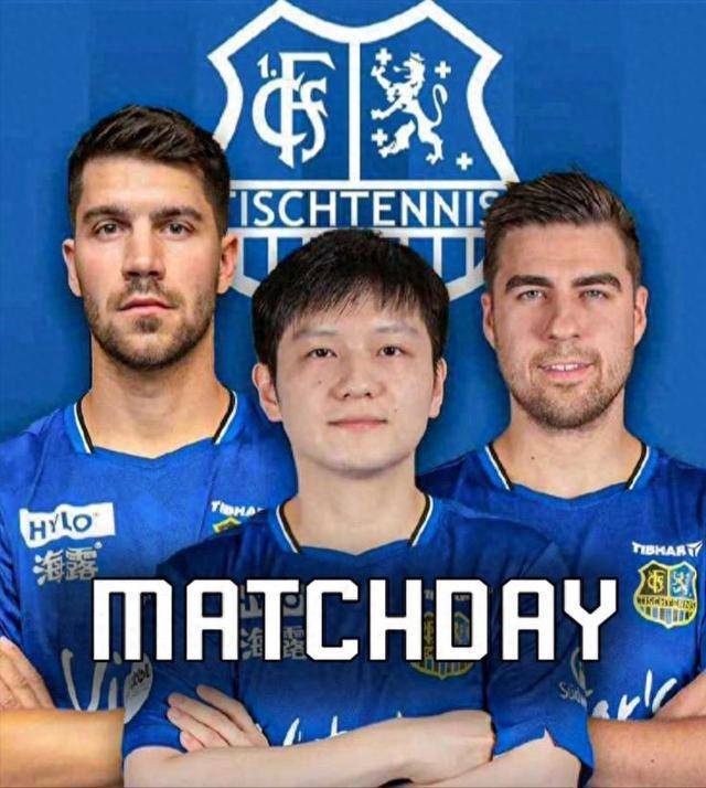 多样化的进 多样化的进